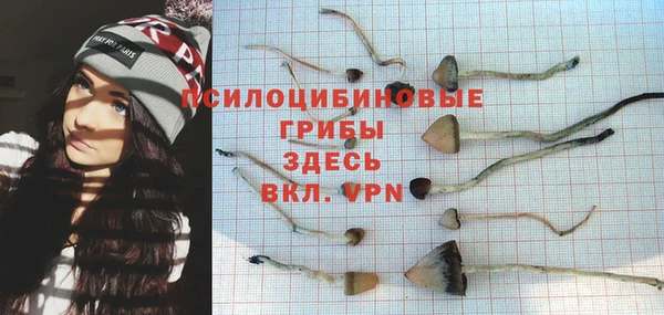 стаф Алексин