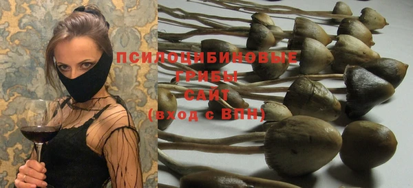 стаф Алексин